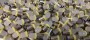 RpLedtyp44Jaune_0