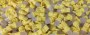 RpLedtyp555Jaune_0